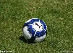 VS,法国杯周三,斯特拉斯,世界杯比分,2026世界杯,实时比分,比赛结果,赛事分析