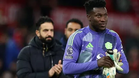 雷声指导：晨练健康操与击剑运动敏捷训练合集