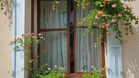 NBA临界值解析：太阳对公牛比赛分析